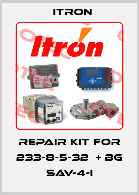 repair kit for 233-8-5-32  + BG SAV-4-I Itron