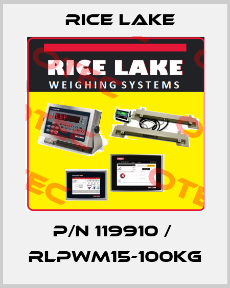 P/N 119910 /  RLPWM15-100kg Rice Lake