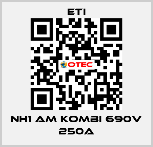 NH1 aM KOMBI 690V 250A Eti