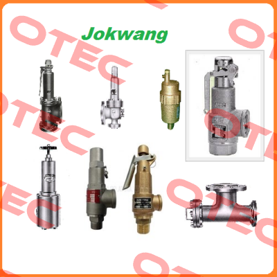 PTFE D198*192*1.0T Jokwang