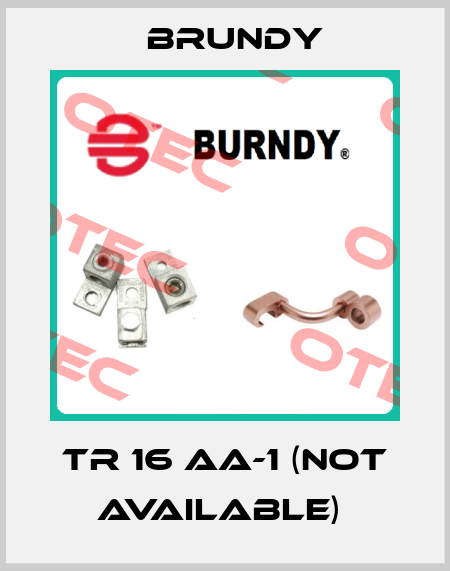 TR 16 AA-1 (Not available)  Brundy