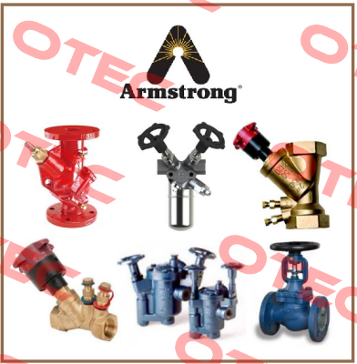 CBV075VTCR 3/4" Armstrong