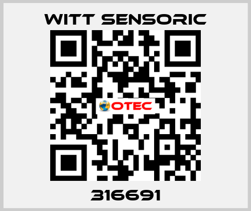 316691 Witt Sensoric