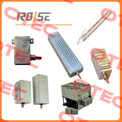RHT-1 Rose