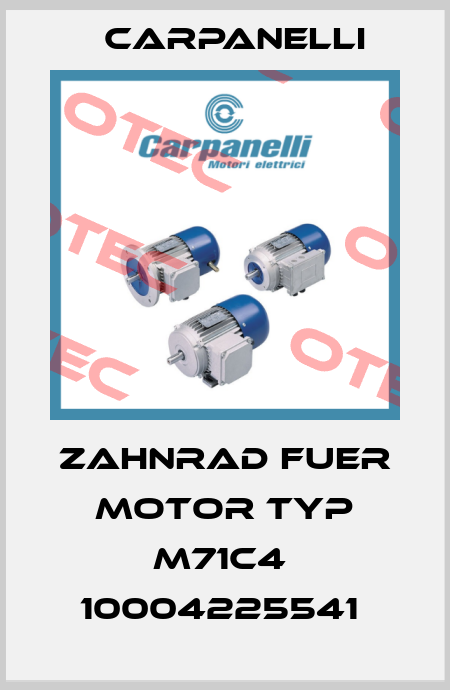 Zahnrad fuer Motor Typ M71C4  10004225541  Carpanelli