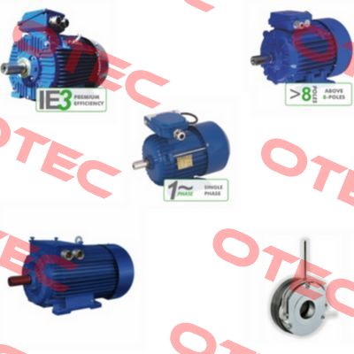 3~motor 25G250M-4 No.A33139 Cantoni