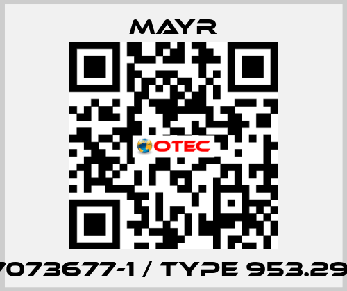 7073677-1 / Type 953.291 Mayr