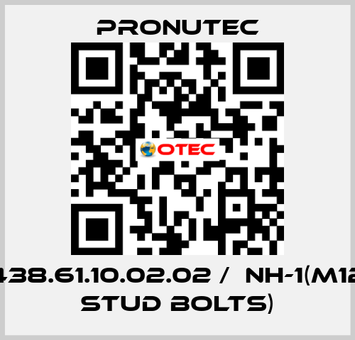 438.61.10.02.02 /  NH-1(M12 stud bolts) PRONUTEC