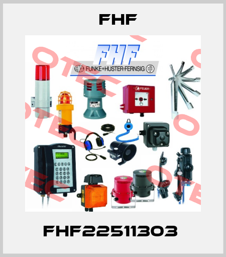 FHF22511303  FHF