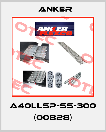 A40LLSP-SS-300 (00828) Anker
