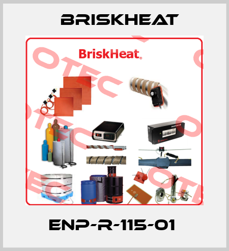 ENP-R-115-01  BriskHeat
