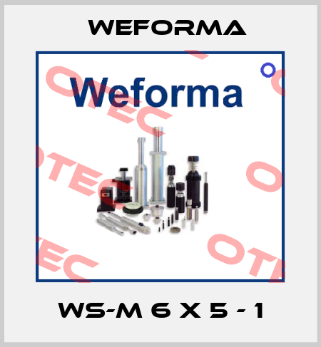 WS-M 6 x 5 - 1 Weforma