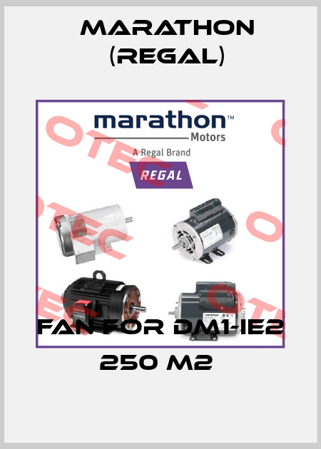 Fan for DM1-IE2 250 M2  Marathon (Regal)