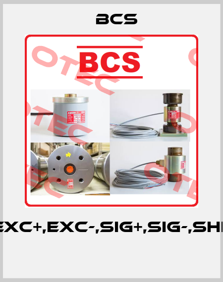 LC1(EXC+,EXC-,SIG+,SIG-,Shield)  Bcs