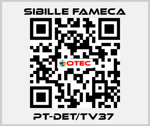 PT-DET/TV37  Sibille Fameca