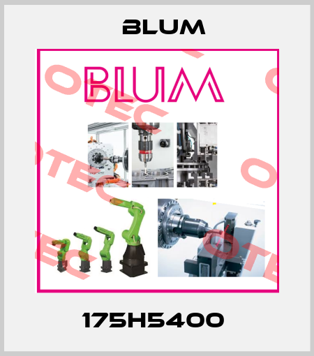 175H5400  Blum
