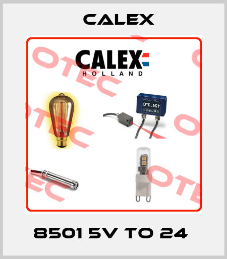 8501 5V TO 24  Calex