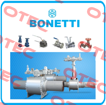 ITEM POSITION NUMBER :82,83,84 DRAWING NUMBER :RK234152FFRACS6-5-WELD  Cesare Bonetti