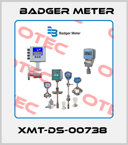 XMT-DS-00738  Badger Meter