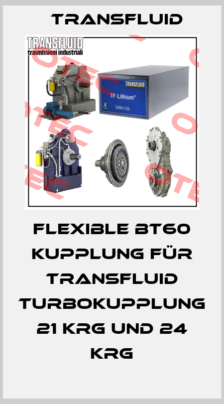 Flexible BT60 Kupplung für Transfluid Turbokupplung 21 KRG und 24 KRG Transfluid