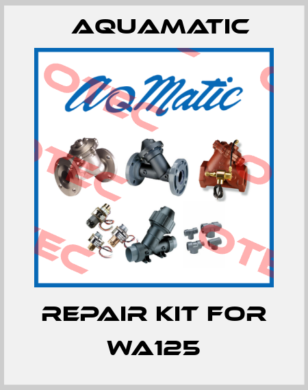Repair kit for WA125 AquaMatic