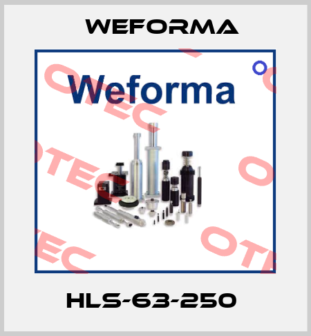HLS-63-250  Weforma