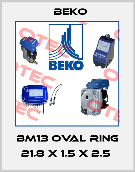 BM13 OVAL RING 21.8 X 1.5 X 2.5  Beko