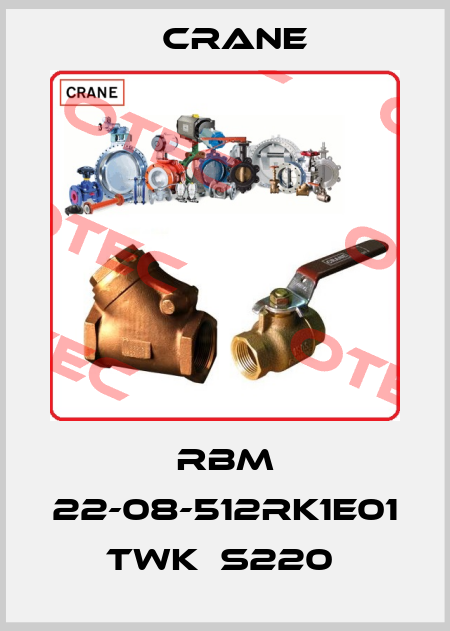 RBM 22-08-512RK1E01 TWK  S220  Crane