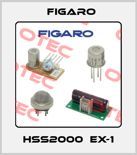 HSS2000  EX-1 Figaro