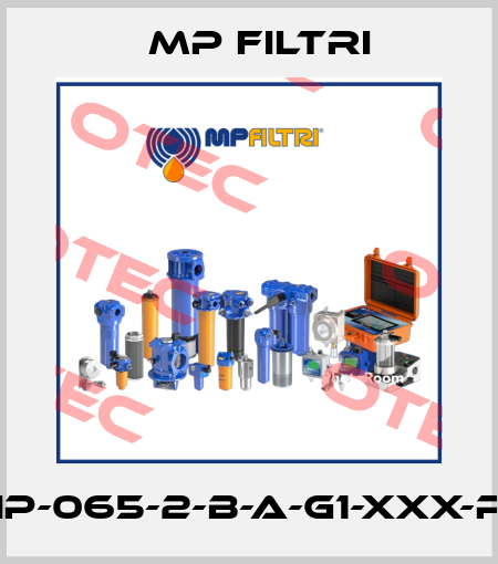 FHP-065-2-B-A-G1-XXX-P01 MP Filtri