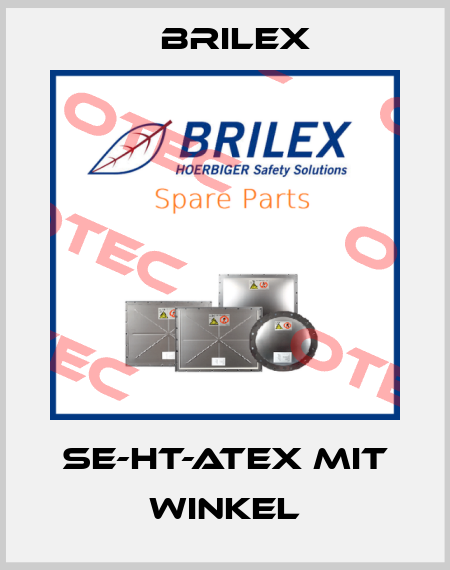 SE-HT-ATEX mit Winkel Brilex