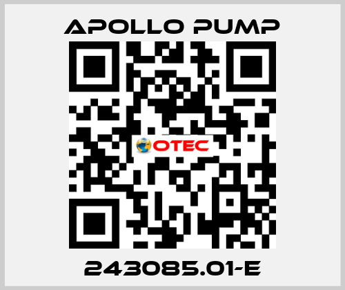 243085.01-E Apollo pump