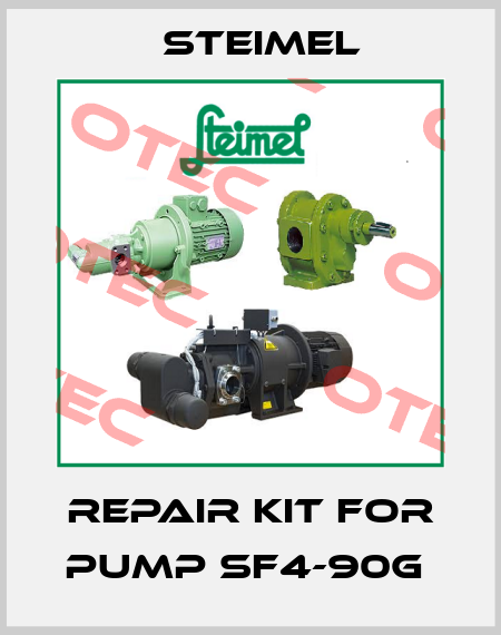 repair kit for pump SF4-90G  Steimel