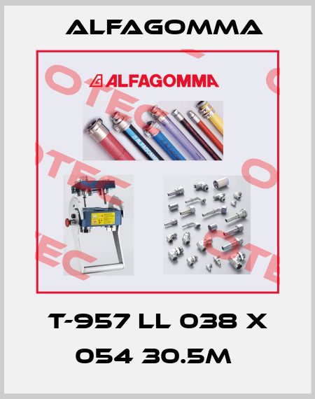 T-957 LL 038 X 054 30.5M  Alfagomma