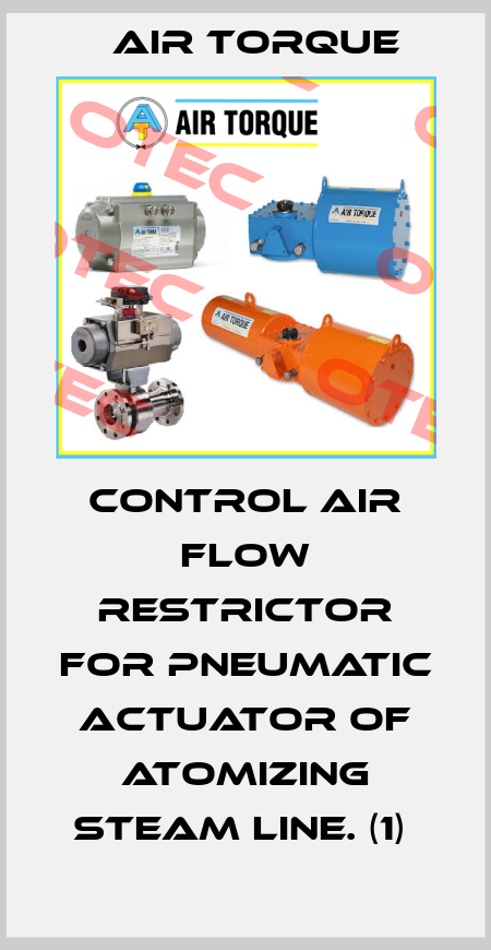 CONTROL AIR FLOW RESTRICTOR FOR PNEUMATIC ACTUATOR OF ATOMIZING STEAM LINE. (1)  Air Torque