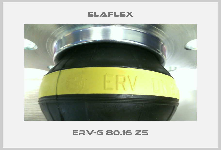 ERV-G 80.16 ZS-big