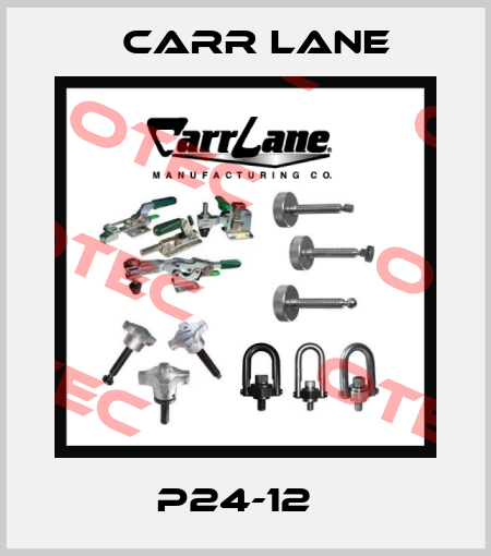 P24-12   Carr Lane