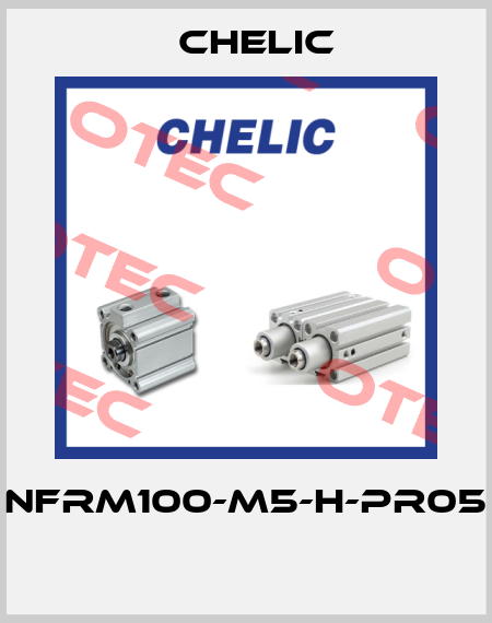NFRM100-M5-H-PR05  Chelic