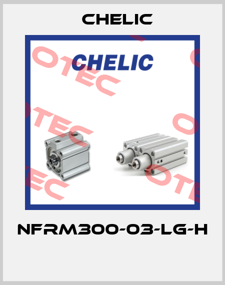 NFRM300-03-LG-H  Chelic