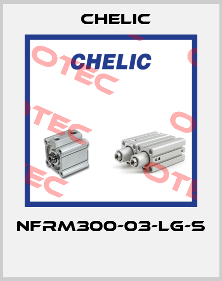 NFRM300-03-LG-S  Chelic