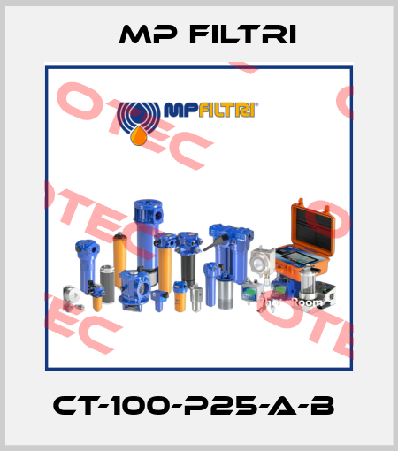 CT-100-P25-A-B  MP Filtri