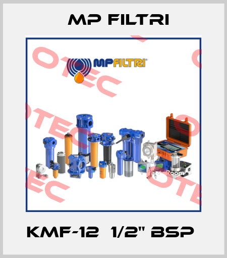KMF-12  1/2" BSP  MP Filtri