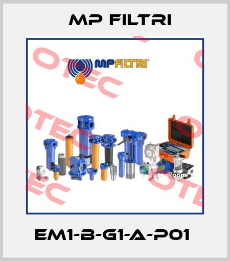 EM1-B-G1-A-P01  MP Filtri