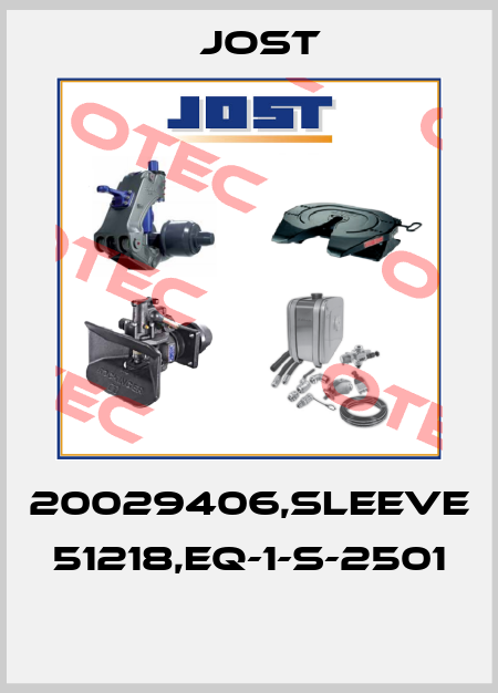 20029406,SLEEVE 51218,EQ-1-S-2501  Jost