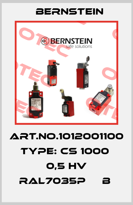 Art.No.1012001100 Type: CS 1000  0,5 HV RAL7035P     B  Bernstein