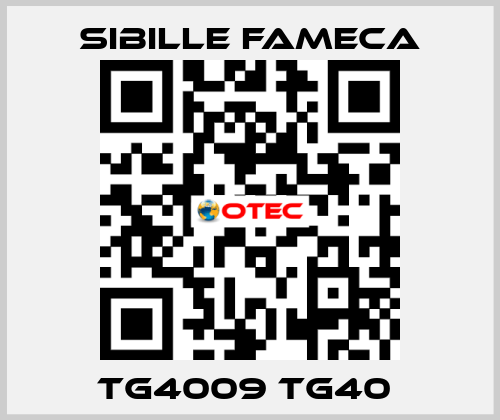 TG4009 TG40  Sibille Fameca