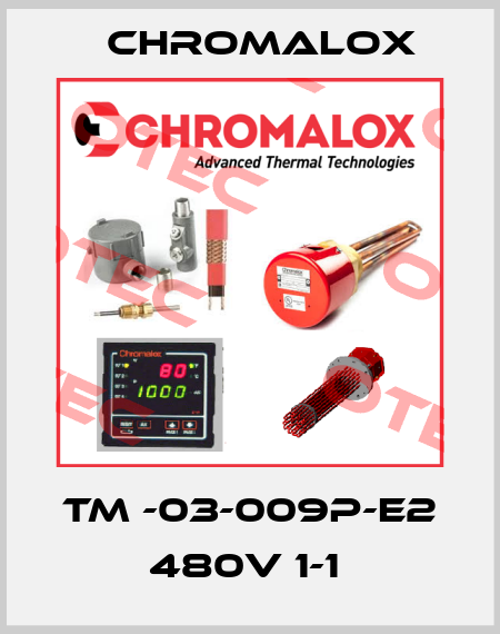 TM -03-009P-E2 480V 1-1  Chromalox