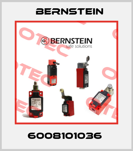 6008101036  Bernstein
