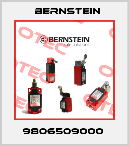 9806509000  Bernstein