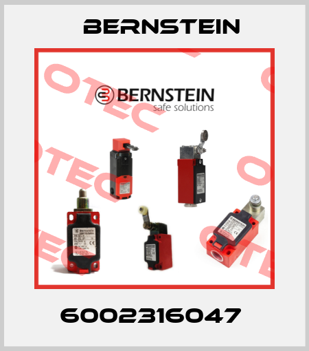 6002316047  Bernstein